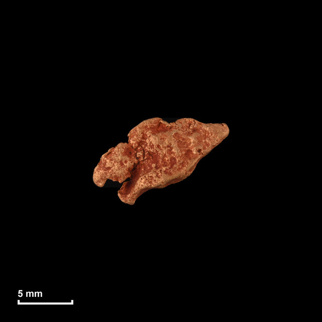 Goldnugget Nr. 26-0163 in tatsächlicher Größe – alle Nuggets im gleichen Maßstab aufgenommen