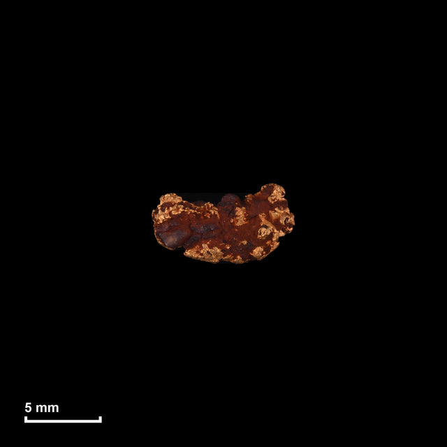 Goldnugget Nr. 26-0183 in tatsächlicher Größe – alle Nuggets im gleichen Maßstab aufgenommen