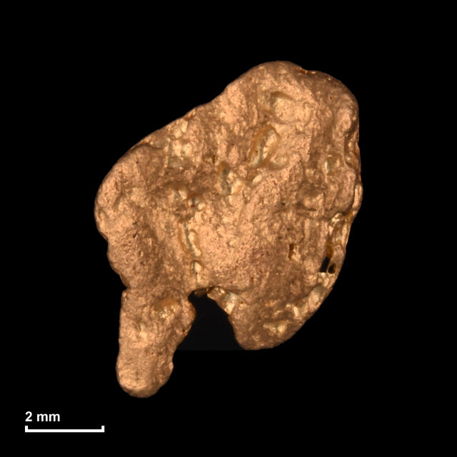 Goldnugget Nr. 26-0137 mit Maßstab: 8,5 × 6,8 mm bei 0,70 g