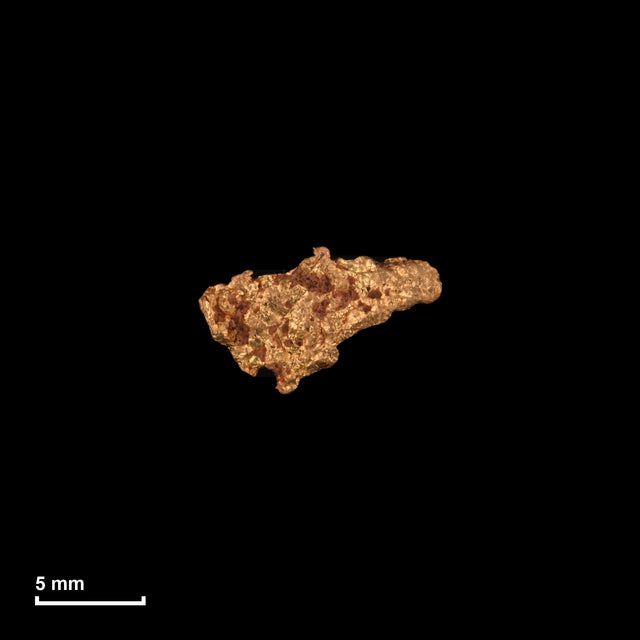 Goldnugget Nr. 26-0172 in tatsächlicher Größe – alle Nuggets im gleichen Maßstab aufgenommen