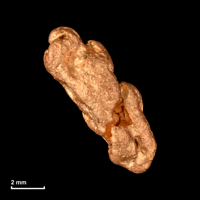 Goldnugget Nr. 26-0303 mit Maßstab: 8,7 × 6,7 mm bei 0,72 g