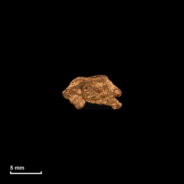 Goldnugget Nr. 26-0218 in tatsächlicher Größe – alle Nuggets im gleichen Maßstab aufgenommen