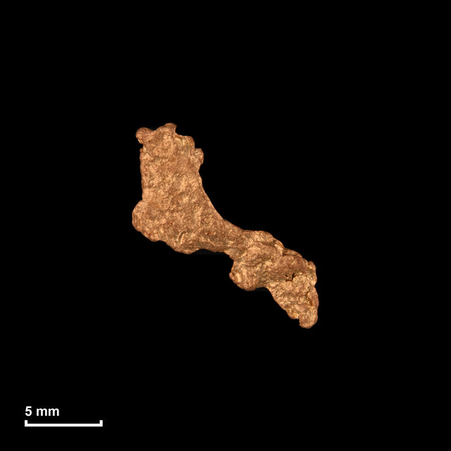 Goldnugget Nr. 26-0296 in tatsächlicher Größe – alle Nuggets im gleichen Maßstab aufgenommen