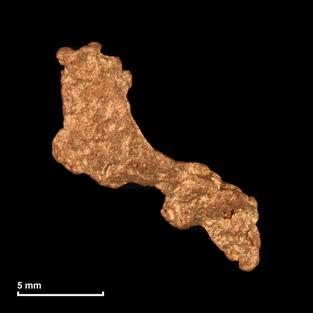 Goldnugget Nr. 26-0296 mit Maßstab: 13,3 × 12,1 mm bei 0,77 g
