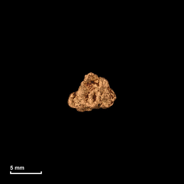 Goldnugget Nr. 26-0132 in tatsächlicher Größe – alle Nuggets im gleichen Maßstab aufgenommen