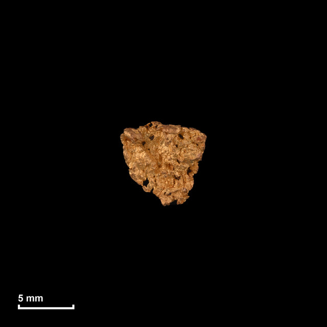 Goldnugget Nr. 26-0202 in tatsächlicher Größe – alle Nuggets im gleichen Maßstab aufgenommen
