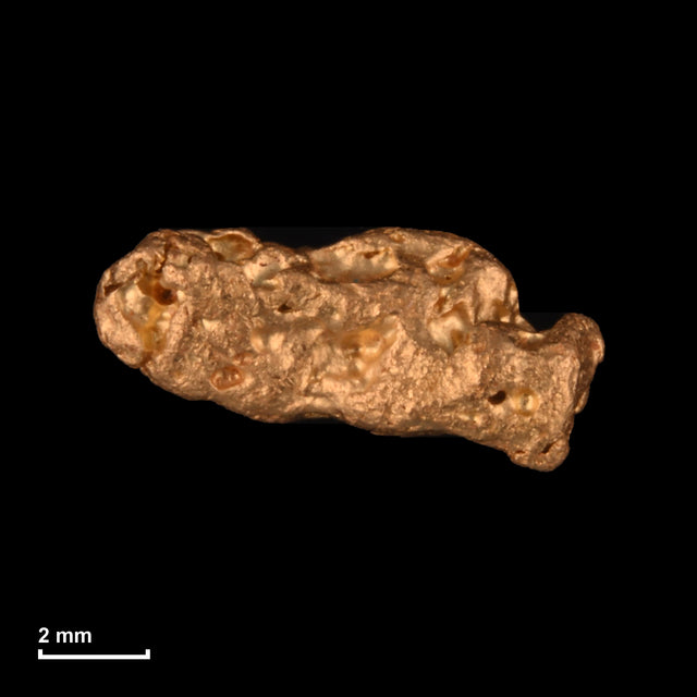 Goldnugget Nr. 26-0212 mit Maßstab: 9,2 × 4,4 mm bei 0,78 g