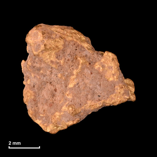 Goldnugget Nr. 26-0334 mit Maßstab: 7,3 × 7,1 mm bei 0,78 g