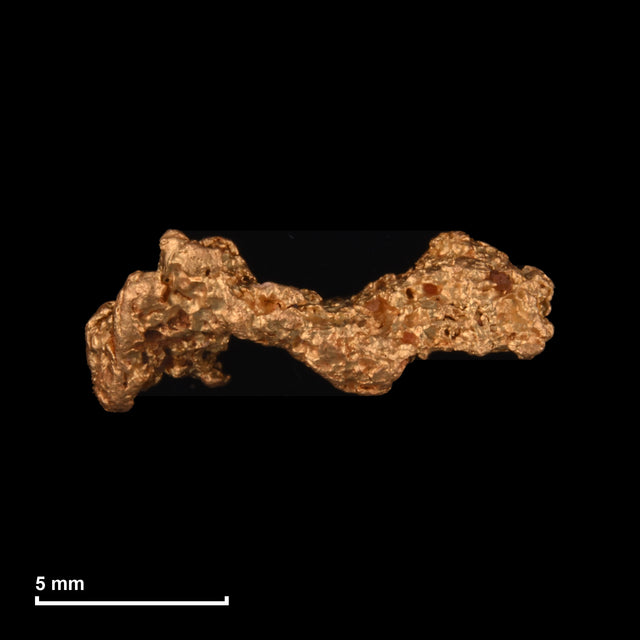 Goldnugget Nr. 26-0217 mit Maßstab: 12,1 × 4,7 mm bei 0,79 g