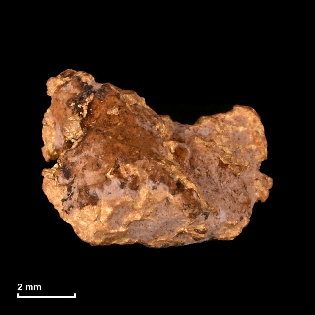 Goldnugget Nr. 26-0316 mit Maßstab: 7,9 × 6,1 mm bei 0,80 g