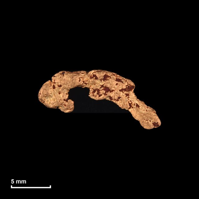 Goldnugget Nr. 26-0020 mit Maßstab: 15,4 × 7,5 mm bei 0,84 g