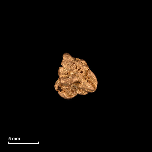 Goldnugget Nr. 26-0112 mit Maßstab: 7,6 × 7,0 mm bei 0,84 g