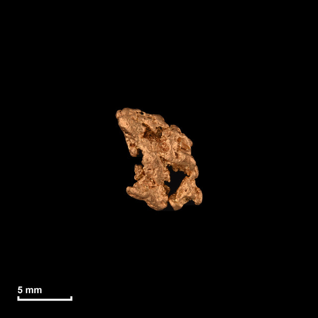 Goldnugget Nr. 26-0157 in tatsächlicher Größe – alle Nuggets im gleichen Maßstab aufgenommen