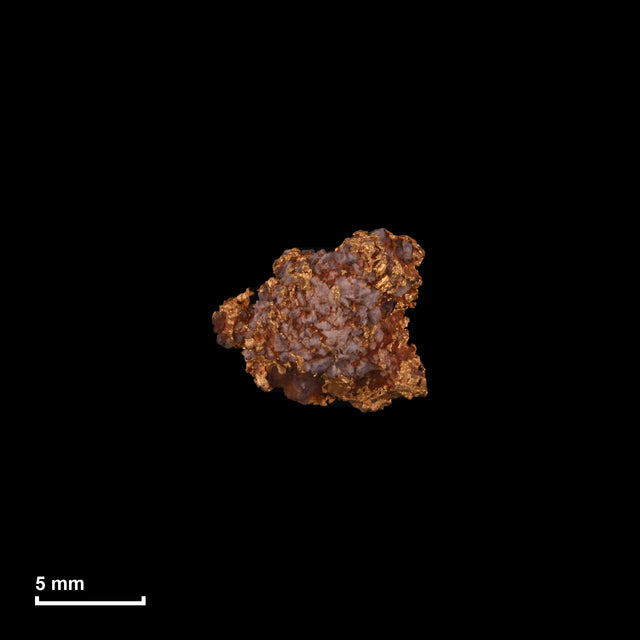 Goldnugget Nr. 26-0222 in tatsächlicher Größe – alle Nuggets im gleichen Maßstab aufgenommen