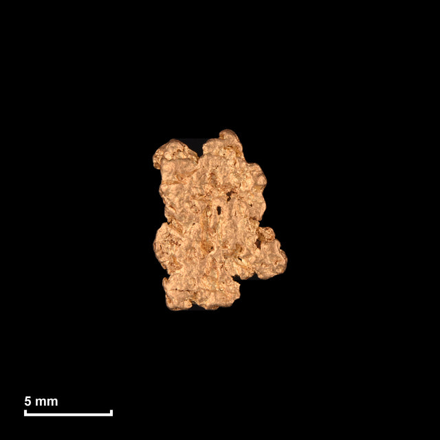 Goldnugget Nr. 26-0107 mit Maßstab: 10,2 × 7,6 mm bei 0,86 g