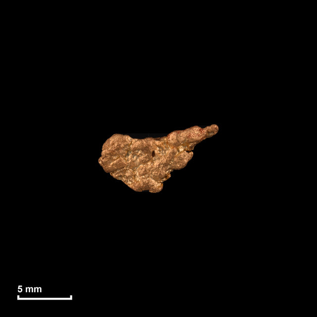 Goldnugget Nr. 26-0205 in tatsächlicher Größe – alle Nuggets im gleichen Maßstab aufgenommen