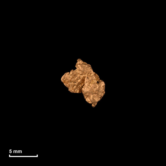 Goldnugget Nr. 26-0129 in tatsächlicher Größe – alle Nuggets im gleichen Maßstab aufgenommen
