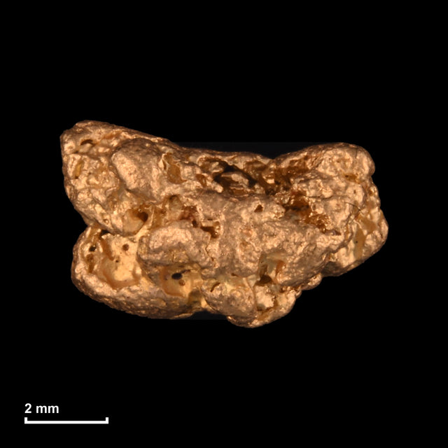 Goldnugget Nr. 26-0131 mit Maßstab: 7,9 × 5,0 mm bei 0,88 g