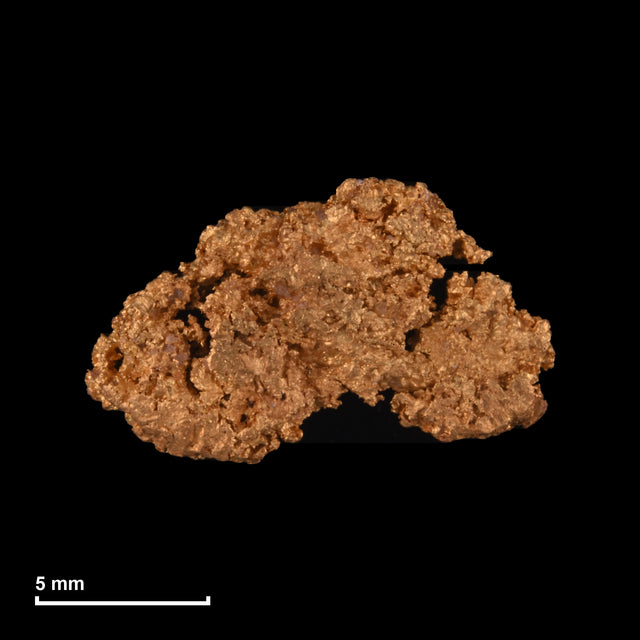 Goldnugget Nr. 26-0211 mit Maßstab: 13,5 × 8,2 mm bei 0,88 g