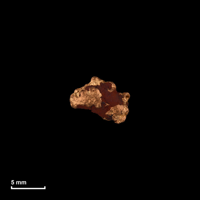 Goldnugget Nr. 26-0188 in tatsächlicher Größe – alle Nuggets im gleichen Maßstab aufgenommen