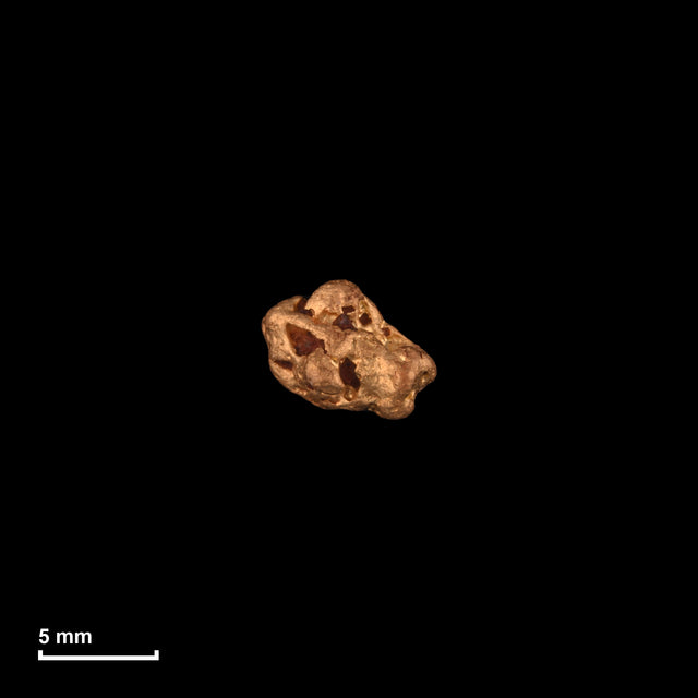 Goldnugget Nr. 26-0154 in tatsächlicher Größe – alle Nuggets im gleichen Maßstab aufgenommen