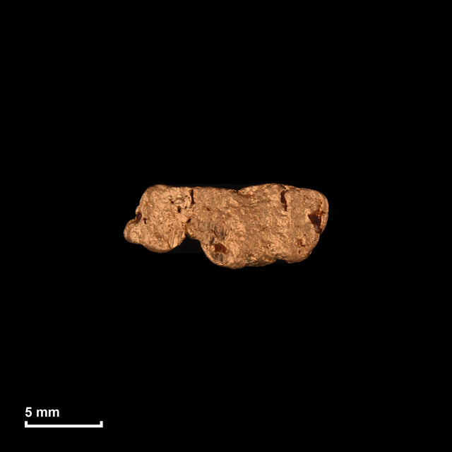 Goldnugget Nr. 26-0174 in tatsächlicher Größe – alle Nuggets im gleichen Maßstab aufgenommen