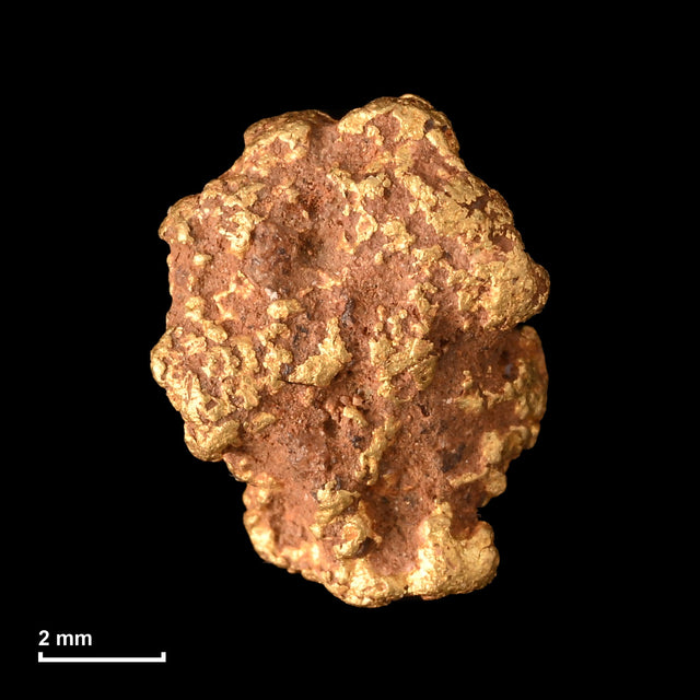 Goldnugget Nr. 26-0338 mit Maßstab: 8,1 × 6,3 mm bei 0,91 g