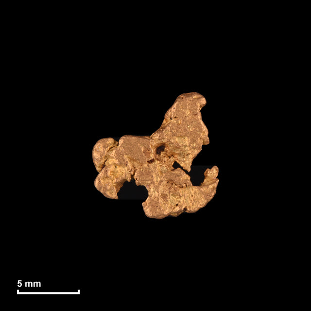 Goldnugget Nr. 26-0090 mit Maßstab: 10,0 × 10,0 mm bei 0,92 g