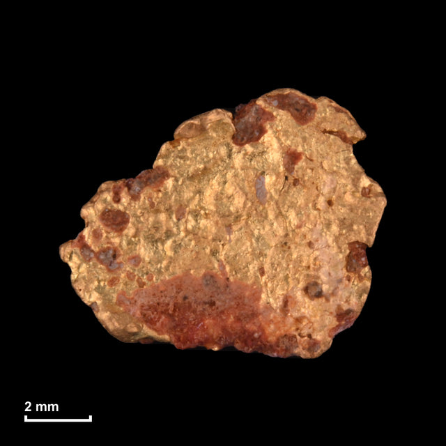 Goldnugget Nr. 26-0173 mit Maßstab: 9,7 × 8,0 mm bei 0,92 g