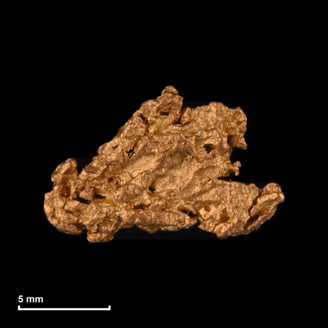 Goldnugget Nr. 26-0240 mit Maßstab: 13,1 × 8,5 mm bei 0,92 g