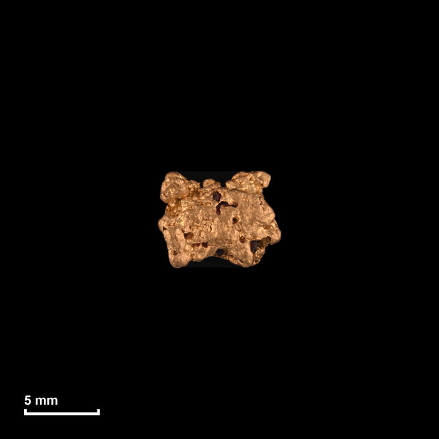Goldnugget Nr. 26-0127 in tatsächlicher Größe – alle Nuggets im gleichen Maßstab aufgenommen