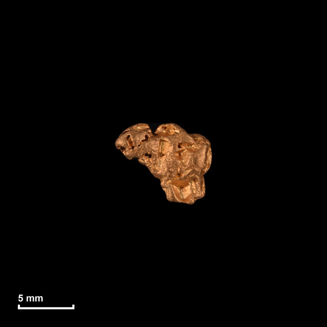 Goldnugget Nr. 26-0169 in tatsächlicher Größe – alle Nuggets im gleichen Maßstab aufgenommen