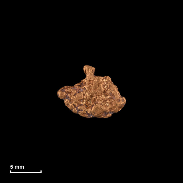 Goldnugget Nr. 26-0207 in tatsächlicher Größe – alle Nuggets im gleichen Maßstab aufgenommen