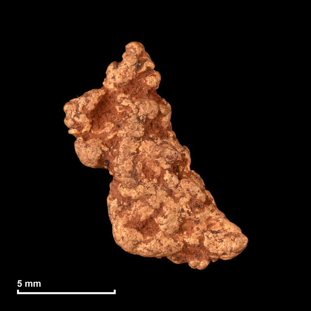 Goldnugget Nr. 26-0304 mit Maßstab: 11,6 × 9,4 mm bei 0,95 g