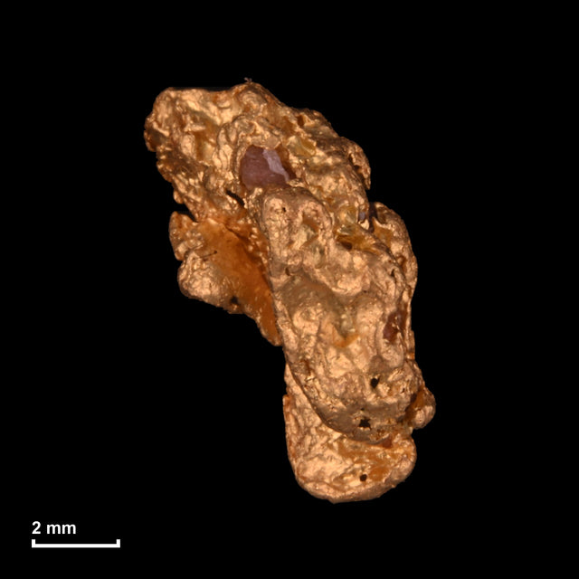 Goldnugget Nr. 26-0216 mit Maßstab: 9,7 × 6,6 mm bei 0,97 g