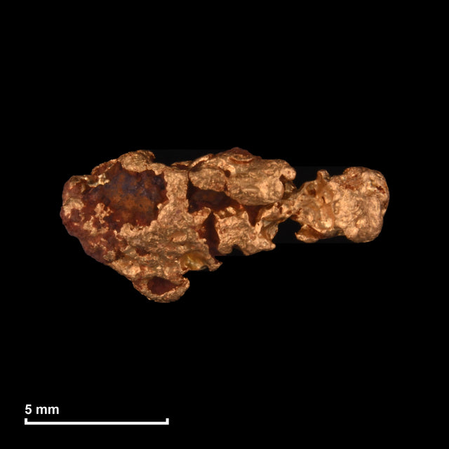 Goldnugget Nr. 26-0204 mit Maßstab: 11,5 × 5,4 mm bei 0,98 g