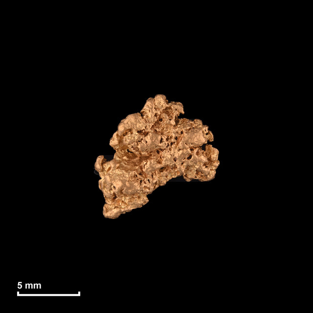 Goldnugget Nr. 26-0116 mit Maßstab: 9,8 × 9,7 mm bei 1,00 g