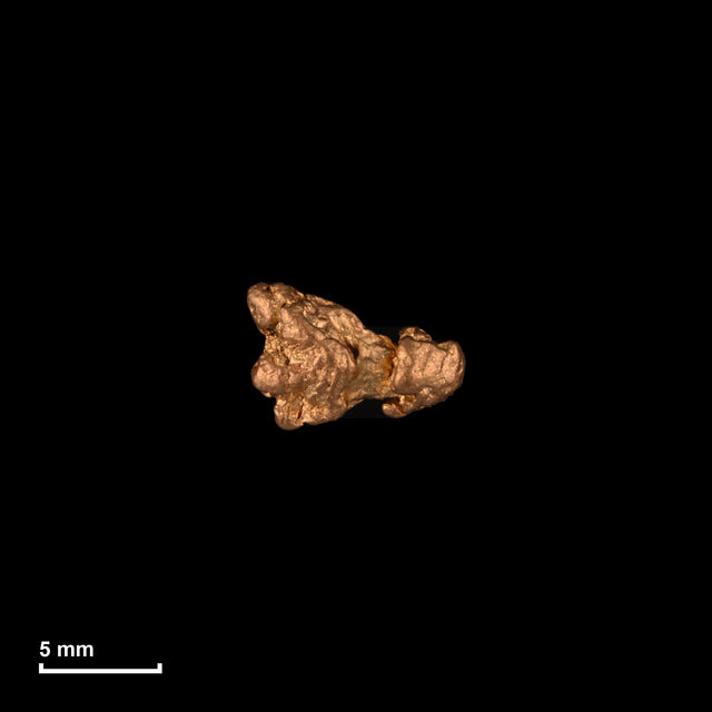 Goldnugget Nr. 26-0134 in tatsächlicher Größe – alle Nuggets im gleichen Maßstab aufgenommen