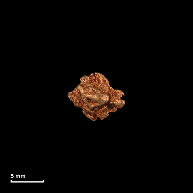 Goldnugget Nr. 26-0155 in tatsächlicher Größe – alle Nuggets im gleichen Maßstab aufgenommen