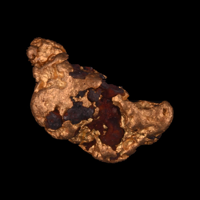 Goldnugget aus Leonora, Westaustralien, 1,14 g, Unikat Nr. 26-0160, freigestellt vor schwarzem Grund