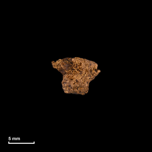 Goldnugget Nr. 26-0253 in tatsächlicher Größe – alle Nuggets im gleichen Maßstab aufgenommen