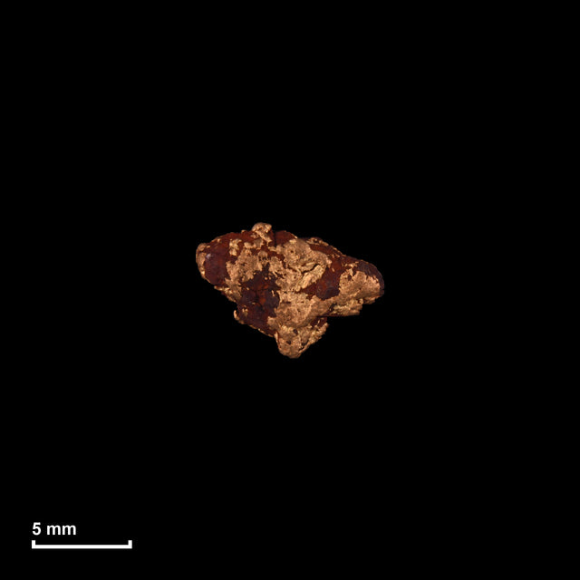 Goldnugget Nr. 26-0156 in tatsächlicher Größe – alle Nuggets im gleichen Maßstab aufgenommen
