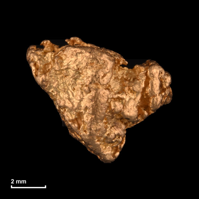 Goldnugget Nr. 26-0138 mit Maßstab: 8,3 × 7,2 mm bei 1,23 g
