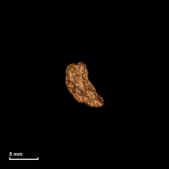 Goldnugget Nr. 26-0251 in tatsächlicher Größe – alle Nuggets im gleichen Maßstab aufgenommen