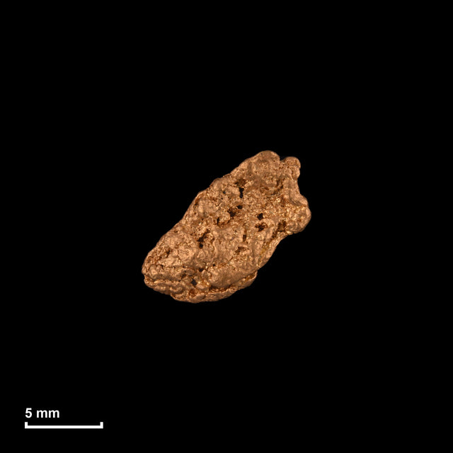 Goldnugget Nr. 26-0249 in tatsächlicher Größe – alle Nuggets im gleichen Maßstab aufgenommen
