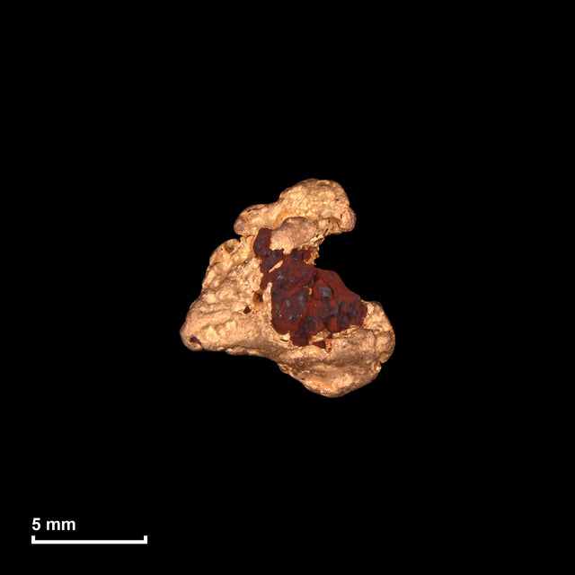 Goldnugget Nr. 26-0008 mit Maßstab: 9,4 × 9,2 mm bei 1,29 g