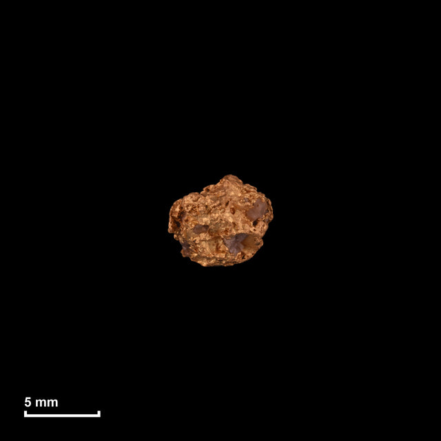 Goldnugget Nr. 26-0162 in tatsächlicher Größe – alle Nuggets im gleichen Maßstab aufgenommen