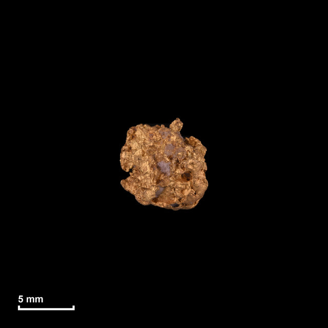 Goldnugget Nr. 26-0255 in tatsächlicher Größe – alle Nuggets im gleichen Maßstab aufgenommen