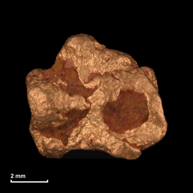 Goldnugget Nr. 26-0166 mit Maßstab: 7,6 × 6,7 mm bei 1,36 g