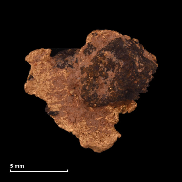 Goldnugget Nr. 26-0291 mit Maßstab: 11,5 × 10,6 mm bei 1,38 g